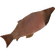 Grilled fish