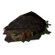 Glowing Beef Sandwich
