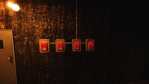 BWT.P2.6.Fuse box.jpg