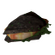 Glowing Chicken Sandwich