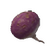 Turnip