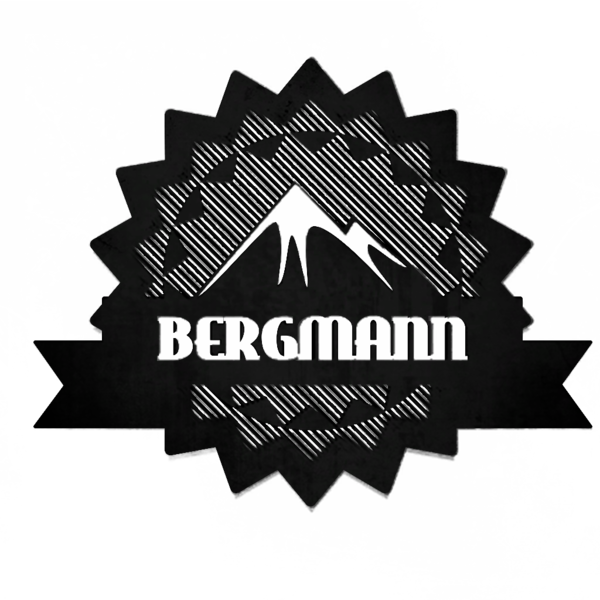 File:Bergmann Group logo.png