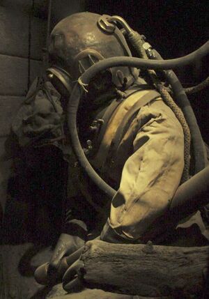 Diving Suit book cover.jpg