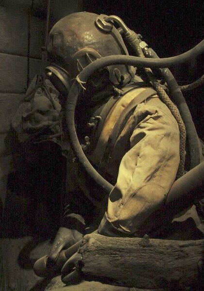 File:Diving Suit book cover.jpg