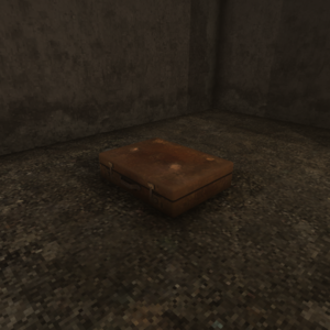 Old Suitcase Can be gathered from cleaning Player's Tenement Has 8 item slots