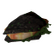 Glowing Chicken Sawdust Sandwich