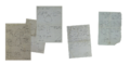 Notes describing Xeander Berg's research on Green and Orange mushrooms