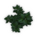 Plant Matter