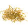 Gold Shavings