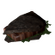 Beef Sandwich
