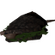 Rat Sawdust Sandwich