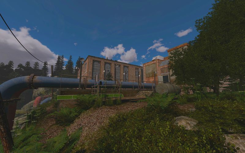 File:Pine fell outside.jpg